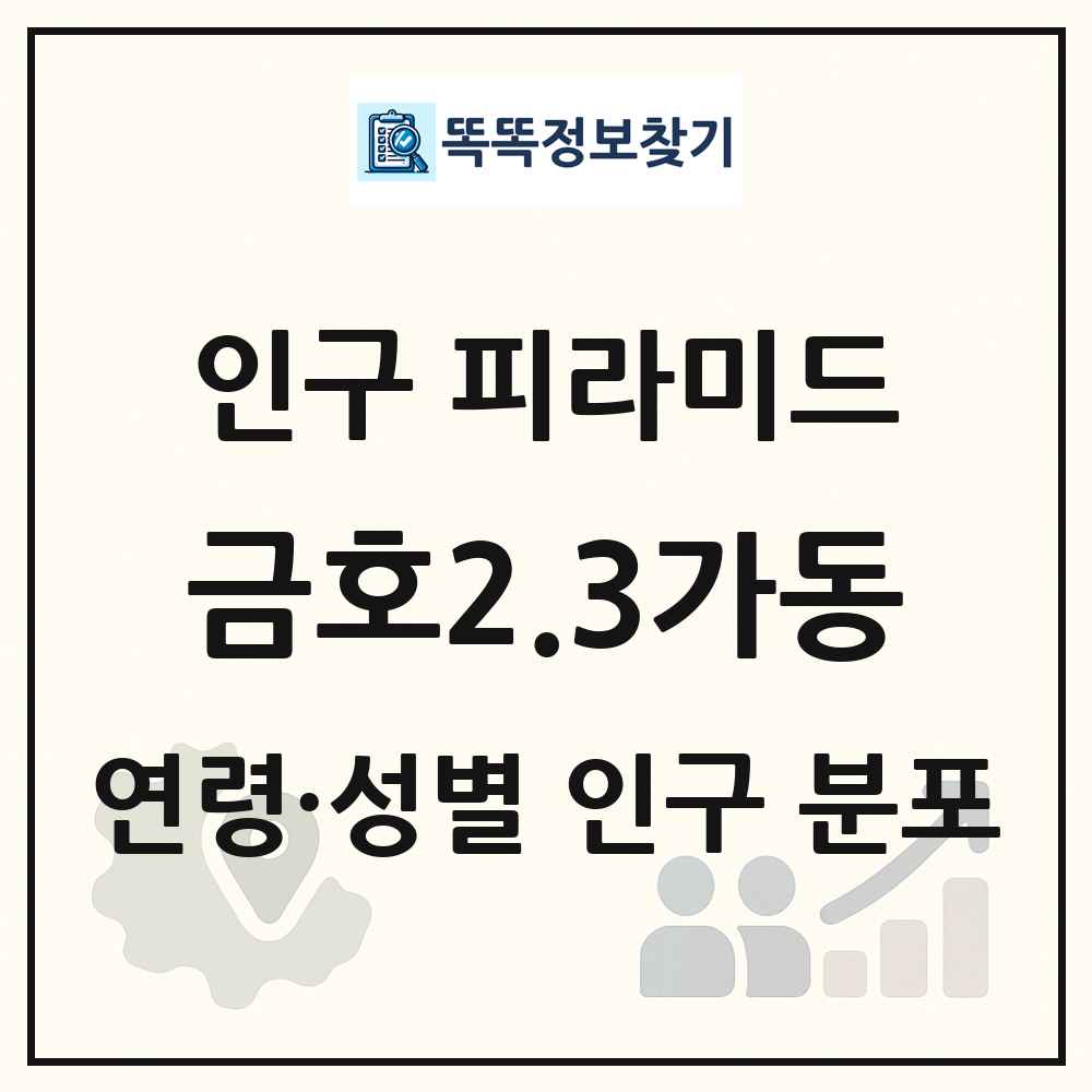 금호2.3가동 인구 피라미드 링크 그림